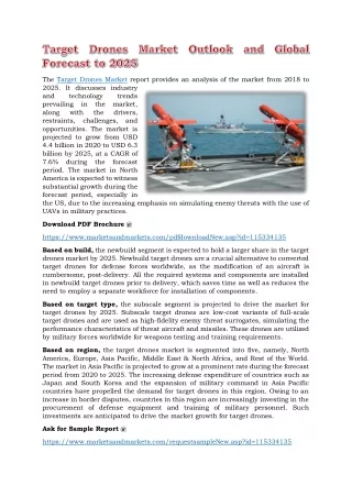 the target drones market report provides
