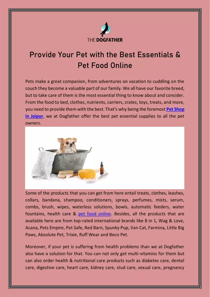 provide your pet with the best essentials
