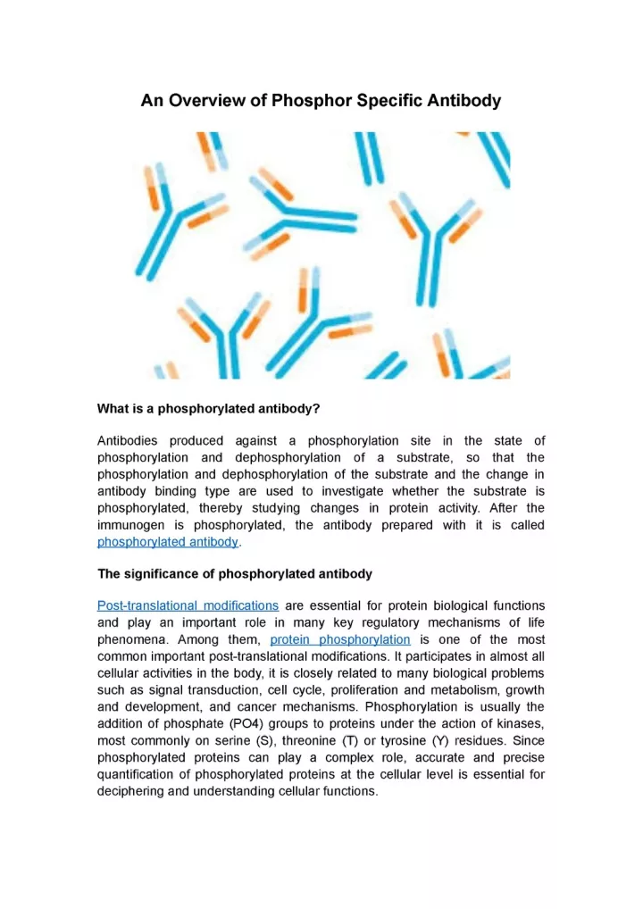 an overview of phosphor specific antibody