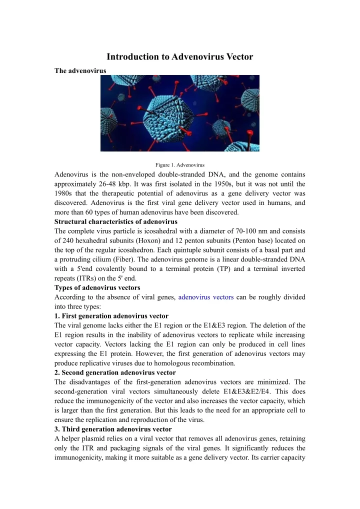 introduction to advenovirus vector