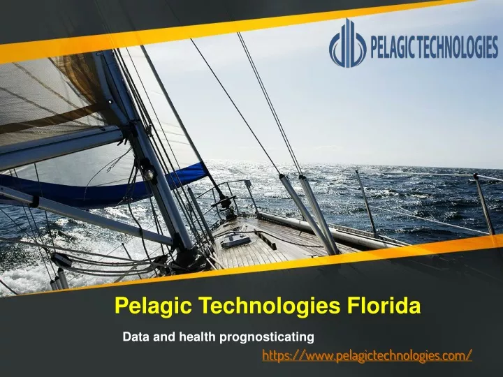 https www pelagictechnologies com