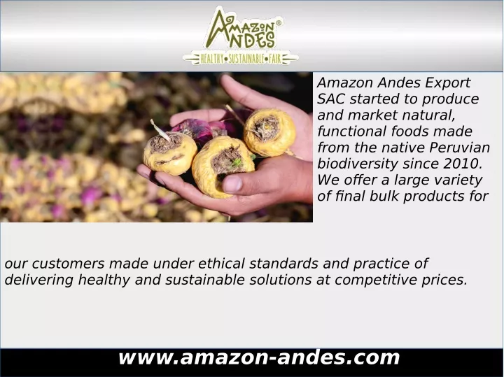 amazon andes export sac started to produce