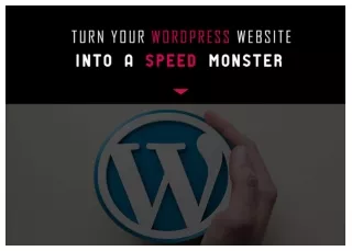Turn your Wordpress website into a speed monster