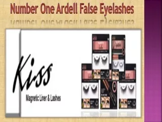 number one ardell false eyelashes