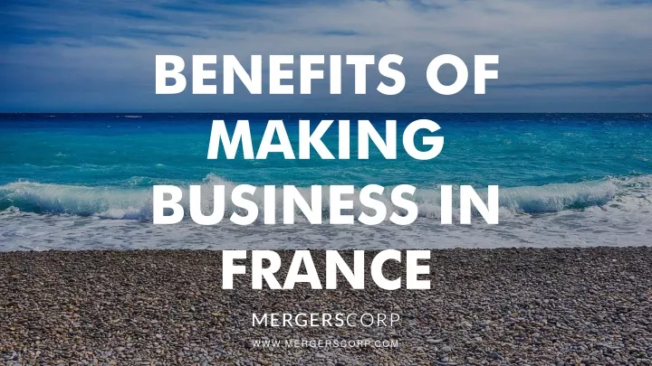 benefits of making business in france