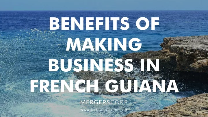 benefits of making business in french guiana