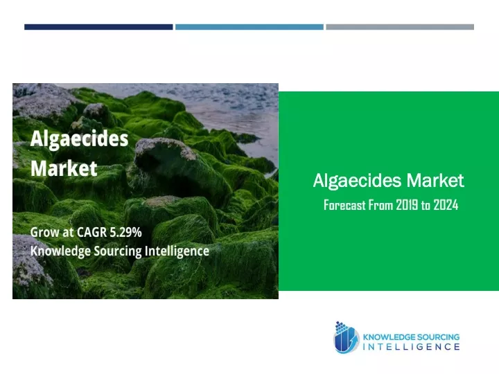 algaecides market forecast from 2019 to 2024