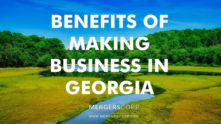 benefits of making business in georgia