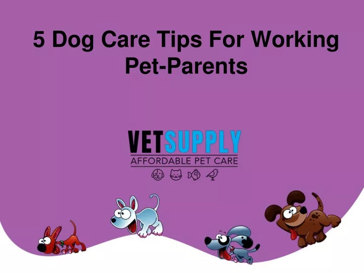 5 dog care tips for working pet parents