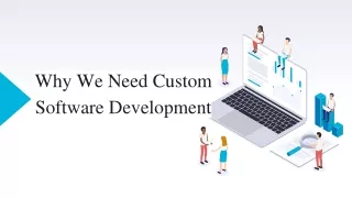 Why We Need Custom Software Development