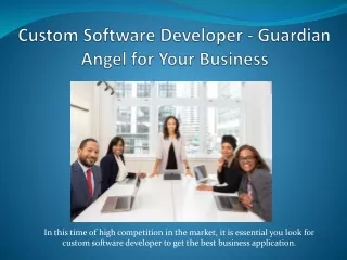 Custom Software Developer - Guardian Angel for Your Business