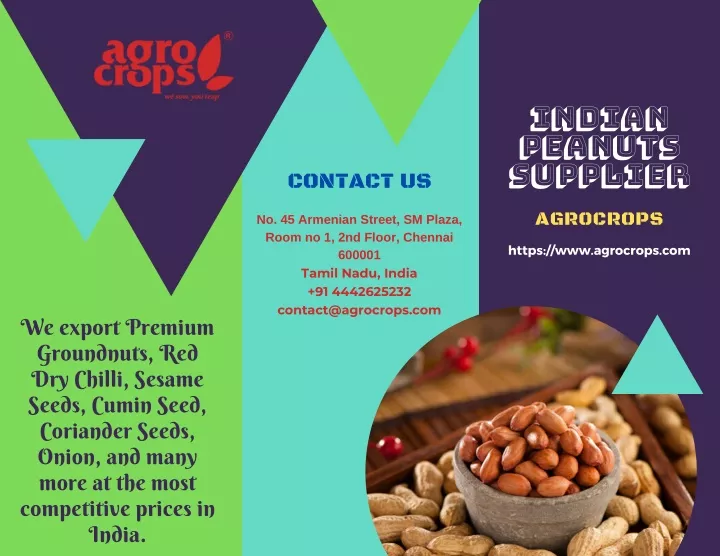 indian peanuts supplier