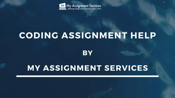 coding assignment help