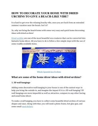 how to decorate your home with dried urchins