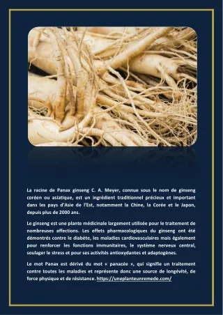 Ginseng (Panax Ginseng)  bienfaits, propriétés, vertus, posologie, avis (guide complet)