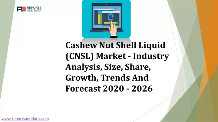 cashew nut shell liquid cnsl market industry