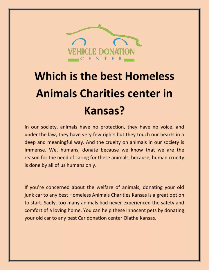 which is the best homeless animals charities