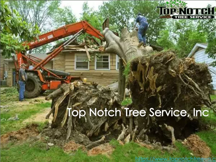 top notch tree service inc