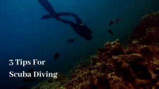 3 Tips For Scuba Diving