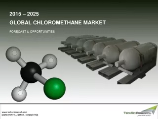 2015 2025