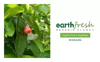 Organic Fruits & Vegetables in Kolkata