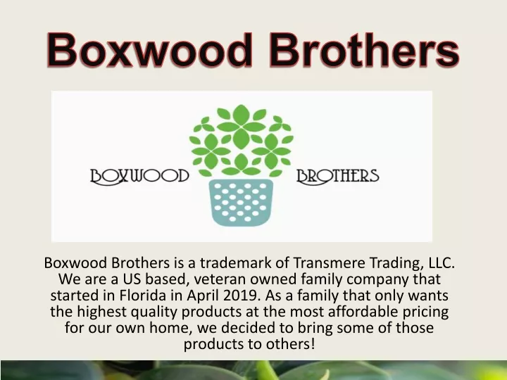 boxwood brothers