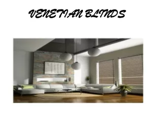 venetian blinds