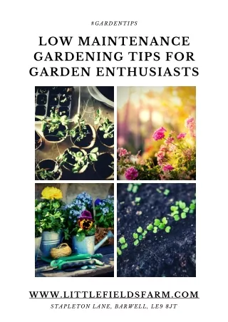 gardentips