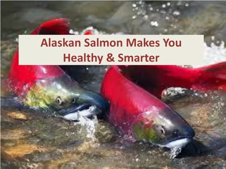 alaskan salmon makes you healthy smarter