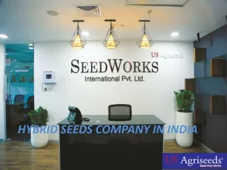hybrid seeds company in india