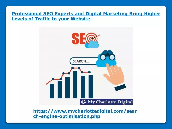 professional seo experts and digital marketing