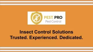 Pest Control Services In Auckland - Pest Pro