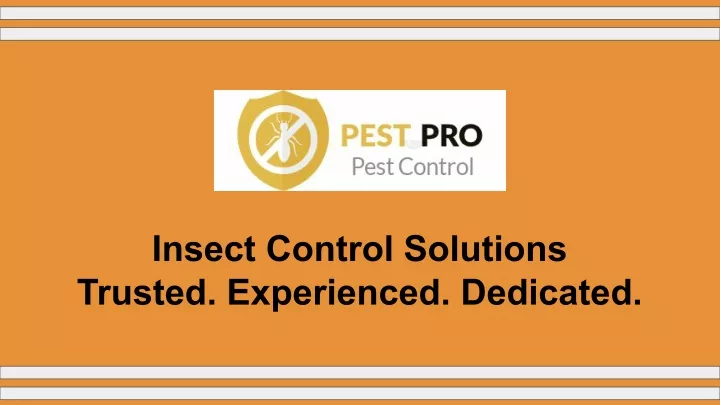 insect control solutions trusted experienced
