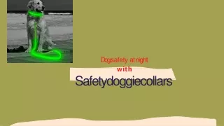 When flashing dog collar night safety need?