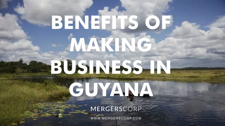 benefits of making business in guyana