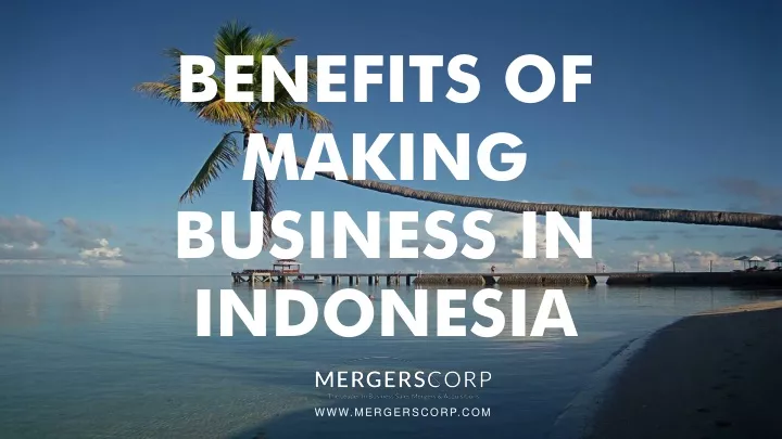 benefits of making business in indonesia