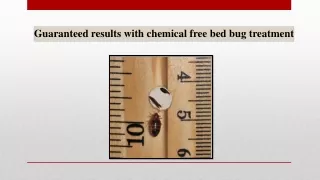 Guaranteed results with chemical free bed bug treatment