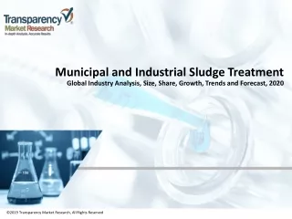 Municipal and Industrial Sludge Treatment Market Research Report | Sales, Size, Share and Forecast 2020