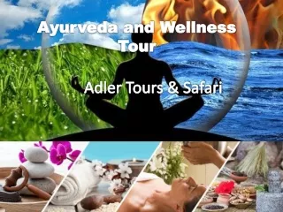 Ayurveda, Spa & Wellness Tour Packages India