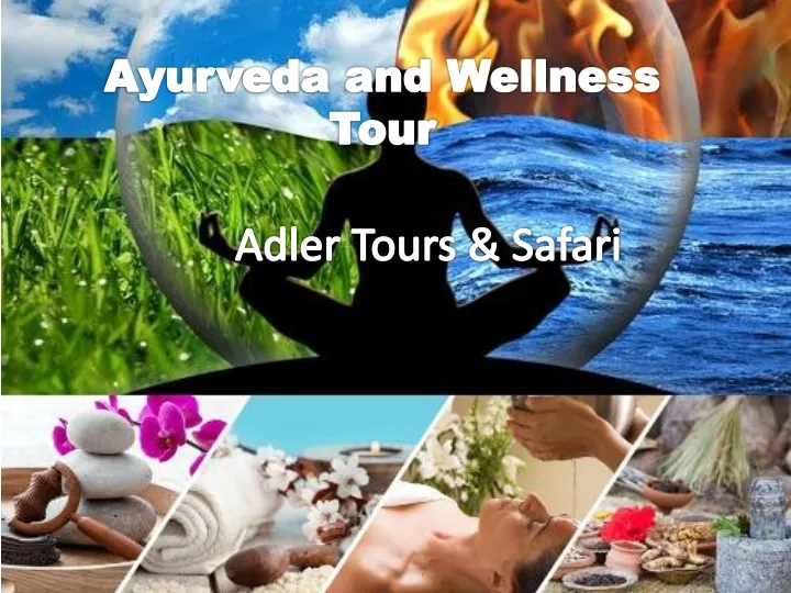 ayurveda and wellness tour