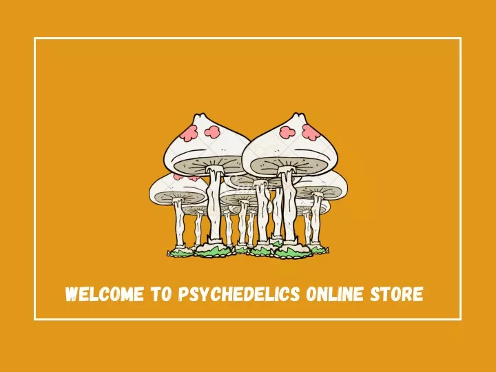 welcome to psychedelics online store