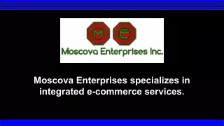 Best E-commerce SEO Company - Moscova Enterprises