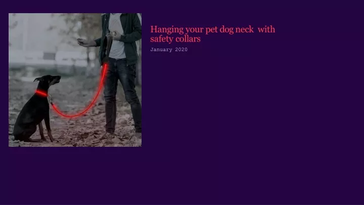 hanging your pet dog neck with