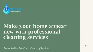 Make Your Home Appear New With Professional Cleaning Services