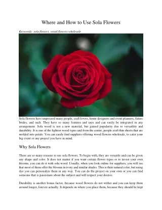where and how to use sola flowers