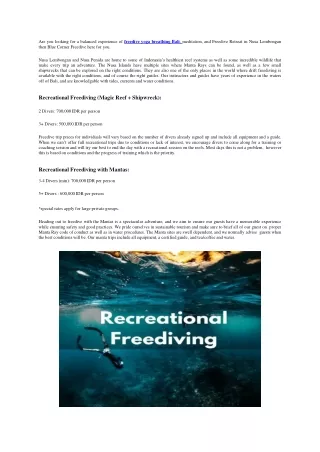 Recreational Freediving with Mantas
