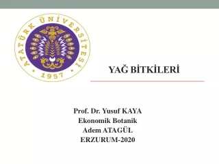 Yağ Bitkileri