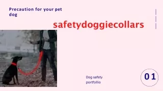 Brightened flashing safety dog collars