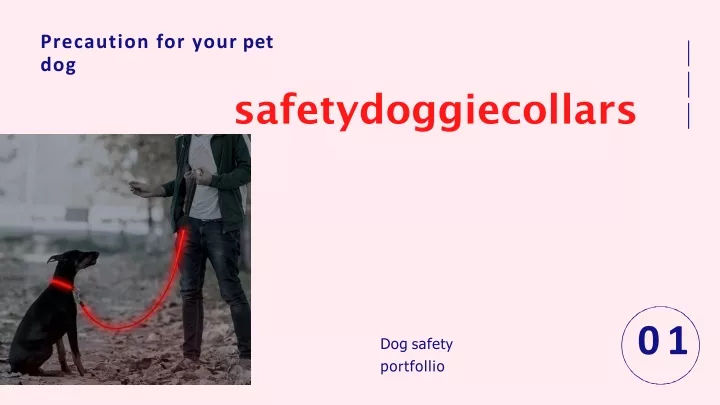 safetydoggiecollars