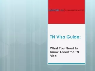 How to go from TN Visa to Green Card